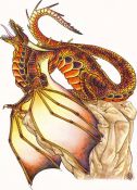 Filename=Rocksiren_the_wyvern.jpg
Filesize=238KiB
Dimensions=746x1028
Date added=Aug 13, 2006 Rocksiren_the_wyvern.jpg