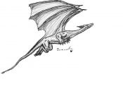 Filename=Sam_s_flying_dragon.jpg
Filesize=32KiB
Dimensions=775x560
Date added=Jul 15, 2005 Sam_s_flying_dragon.jpg