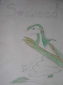 Filename=Seaweed.jpg
Filesize=144KiB
Dimensions=1056x1408
Date added=May 11, 2008 Seaweed.jpg