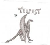 Filename=Tempest_004.jpg
Filesize=96KiB
Dimensions=1284x1172
Date added=Jul 30, 2007 Tempest_004.jpg