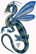 Filename=Tyrathca_s_Royal_Glazewing_Dragon.jpg
Filesize=218KiB
Dimensions=748x1093
Date added=Sep 21, 2006 Tyrathca_s_Royal_Glazewing_Dragon.jpg
