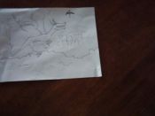 Filename=Wyvern_Cliffs.jpg
Filesize=14KiB
Dimensions=600x450
Date added=Aug 20, 2005 Wyvern_Cliffs.jpg