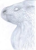 Filename=Z_Dragon_head(2).jpg
Filesize=300KiB
Dimensions=956x1316
Date added=Oct 22, 2007 Z_Dragon_head(2).jpg