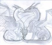 Filename=Z__only_he_understands_.jpg
Filesize=293KiB
Dimensions=1275x1094
Date added=Sep 24, 2007 Z__only_he_understands_.jpg