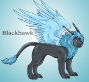 Filename=blackhawk_copy.jpg
Filesize=138KiB
Dimensions=828x768
Date added=Nov 12, 2006 blackhawk_copy.jpg