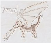 Filename=brandy.jpg
Filesize=165KiB
Dimensions=1114x946
Date added=May 10, 2007 brandy.jpg
