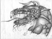 Filename=draco_003.jpg
Filesize=33KiB
Dimensions=393x295
Date added=Jul 15, 2005 draco_003.jpg