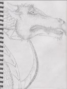Filename=dragon-drawn_scales.jpg
Filesize=29KiB
Dimensions=461x609
Date added=Aug 20, 2006 dragon-drawn_scales.jpg