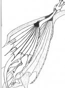 Filename=dragon-shadow.jpg
Filesize=250KiB
Dimensions=1039x1402
Date added=Aug 03, 2006 dragon-shadow.jpg
