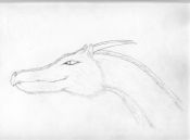 Filename=dragon-wolf_hybrid.jpg
Filesize=270KiB
Dimensions=1402x1039
Date added=Aug 30, 2006 dragon-wolf_hybrid.jpg