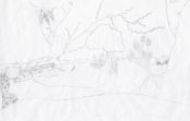 Filename=dragon_028.jpg
Filesize=146KiB
Dimensions=1524x971
Date added=Dec 15, 2005 dragon_028.jpg