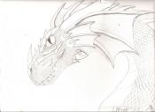 Filename=dragon_052.jpg
Filesize=100KiB
Dimensions=639x465
Date added=Nov 26, 2006 dragon_052.jpg