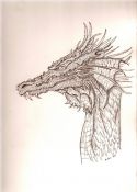 Filename=dragon_079.jpg
Filesize=82KiB
Dimensions=419x585
Date added=Jul 09, 2007 dragon_079.jpg