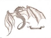 Filename=dragon_085.jpg
Filesize=63KiB
Dimensions=585x436
Date added=Jul 15, 2007 dragon_085.jpg