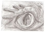 Filename=dragoneye.jpg
Filesize=135KiB
Dimensions=996x702
Date added=Jun 24, 2007 dragoneye.jpg