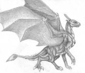 Filename=dragonness2.jpg
Filesize=174KiB
Dimensions=1000x857
Date added=Jun 10, 2007 dragonness2.jpg