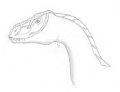 Filename=dragonscan1.jpg
Filesize=33KiB
Dimensions=894x689
Date added=Sep 30, 2007 dragonscan1.jpg