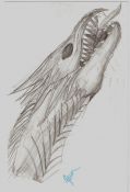 Filename=dragonz.jpg
Filesize=150KiB
Dimensions=944x1382
Date added=Oct 14, 2007 dragonz.jpg