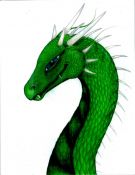 Filename=green_dragon_clr_pencils.jpg
Filesize=174KiB
Dimensions=1275x1649
Date added=Jul 09, 2007 green_dragon_clr_pencils.jpg