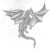 Filename=raven.jpg
Filesize=282KiB
Dimensions=708x709
Date added=Nov 12, 2006 raven.jpg