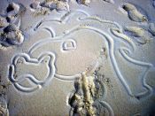 Filename=sand_dragon.jpg
Filesize=616KiB
Dimensions=1331x998
Date added=Nov 25, 2007 sand_dragon.jpg