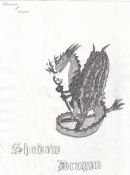 Filename=shadow_dragon_002.jpg
Filesize=82KiB
Dimensions=577x774
Date added=Feb 21, 2006 shadow_dragon_002.jpg