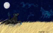 Filename=wonder_17-57-53.jpg
Filesize=175KiB
Dimensions=1125x713
Date added=Jun 10, 2007 wonder_17-57-53.jpg