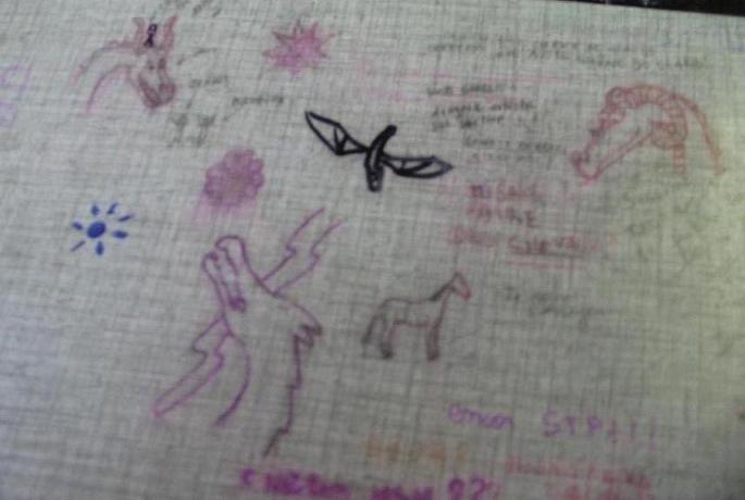 By The Lonely Dragon
Here are some pictures I made on the tables and on the walls at school. I love to draw on my bench during the English court!

