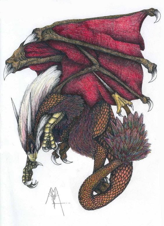 Draknor - By Makla
Makla Acha'callen, the draknor. Half phoenix and half dragon. Thought I'd clear that up right here seeing as it always causes confusion when i post a picture of myself...  
