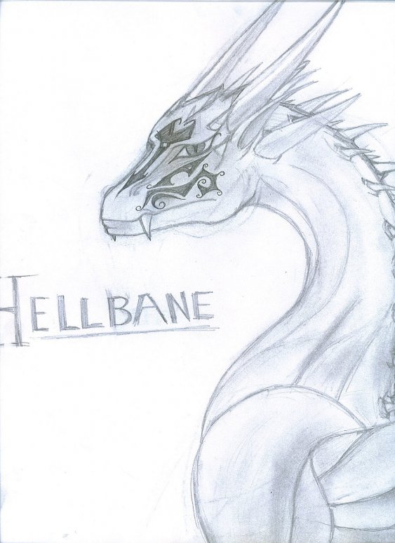 Hellbane - By Silveera
Hellbane is my secondary form, I only become her when my life or some one else who is close to me (a friend) is threatened.
Keywords: head