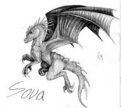 Filename=Sova.jpg
Filesize=34KiB
Dimensions=375x336
Date added=May 14, 2006 Sova.jpg